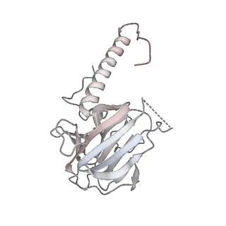 21543_6w5m_D_v1-1
Cryo-EM structure of MLL1 in complex with RbBP5, WDR5, SET1, and ASH2L bound to the nucleosome (Class02)