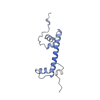 21543_6w5m_I_v1-1
Cryo-EM structure of MLL1 in complex with RbBP5, WDR5, SET1, and ASH2L bound to the nucleosome (Class02)