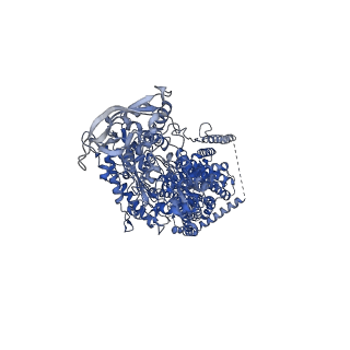 21546_6w5s_A_v1-2
NPC1 structure in GDN micelles at pH 8.0