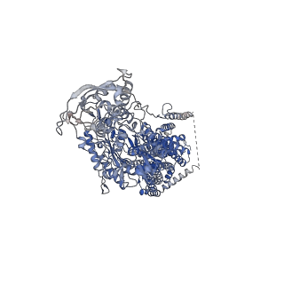 21547_6w5t_A_v1-2
NPC1 structure in GDN micelles at pH 5.5, conformation a