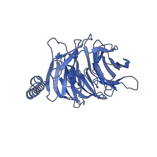32313_7w53_B_v1-1
Cryo-EM structure of the neuromedin U-bound neuromedin U receptor 1-Gq protein complex