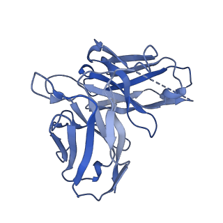 32313_7w53_E_v1-1
Cryo-EM structure of the neuromedin U-bound neuromedin U receptor 1-Gq protein complex