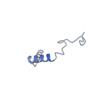 32313_7w53_G_v1-1
Cryo-EM structure of the neuromedin U-bound neuromedin U receptor 1-Gq protein complex