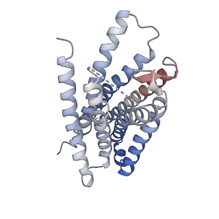 32313_7w53_R_v1-1
Cryo-EM structure of the neuromedin U-bound neuromedin U receptor 1-Gq protein complex