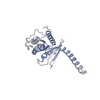 32314_7w55_A_v1-1
Cryo-EM structure of the neuromedin U-bound neuromedin U receptor 2-Gq protein complex