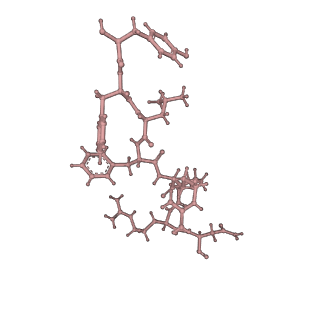 32314_7w55_C_v1-1
Cryo-EM structure of the neuromedin U-bound neuromedin U receptor 2-Gq protein complex