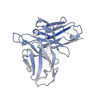 32314_7w55_E_v1-1
Cryo-EM structure of the neuromedin U-bound neuromedin U receptor 2-Gq protein complex