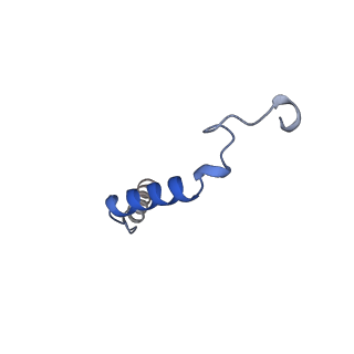 32314_7w55_G_v1-1
Cryo-EM structure of the neuromedin U-bound neuromedin U receptor 2-Gq protein complex