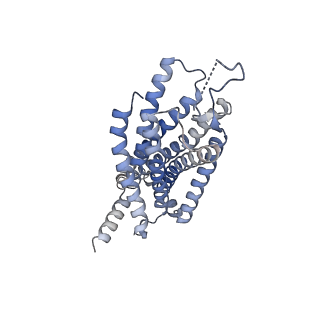 32314_7w55_R_v1-1
Cryo-EM structure of the neuromedin U-bound neuromedin U receptor 2-Gq protein complex