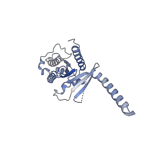 32315_7w56_A_v1-2
Cryo-EM structure of the neuromedin S-bound neuromedin U receptor 1-Gq protein complex