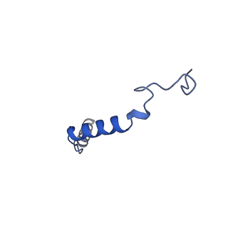 32315_7w56_G_v1-2
Cryo-EM structure of the neuromedin S-bound neuromedin U receptor 1-Gq protein complex