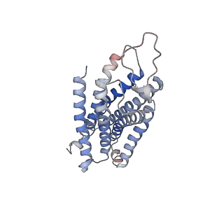 32315_7w56_R_v1-2
Cryo-EM structure of the neuromedin S-bound neuromedin U receptor 1-Gq protein complex