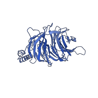 32316_7w57_B_v1-1
Cryo-EM structure of the neuromedin S-bound neuromedin U receptor 2-Gq protein complex