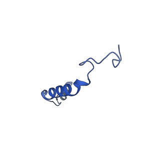 32316_7w57_G_v1-1
Cryo-EM structure of the neuromedin S-bound neuromedin U receptor 2-Gq protein complex