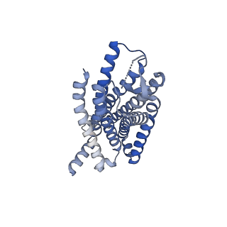 32316_7w57_R_v1-1
Cryo-EM structure of the neuromedin S-bound neuromedin U receptor 2-Gq protein complex