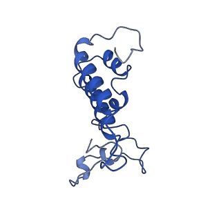 32317_7w59_N_v1-2
The cryo-EM structure of human pre-C*-I complex