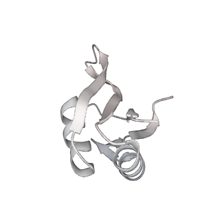 32317_7w59_y_v1-2
The cryo-EM structure of human pre-C*-I complex