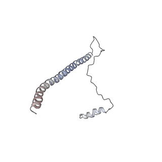 32319_7w5a_2_v1-2
The cryo-EM structure of human pre-C*-II complex