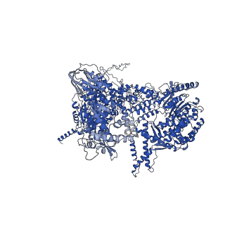 32319_7w5a_A_v1-2
The cryo-EM structure of human pre-C*-II complex
