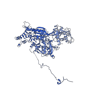 32319_7w5a_C_v1-2
The cryo-EM structure of human pre-C*-II complex