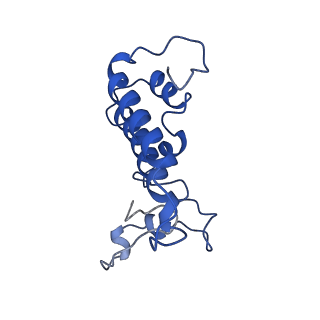 32319_7w5a_N_v1-2
The cryo-EM structure of human pre-C*-II complex