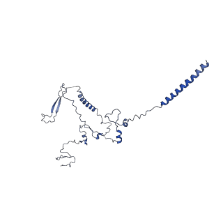 32319_7w5a_R_v1-2
The cryo-EM structure of human pre-C*-II complex