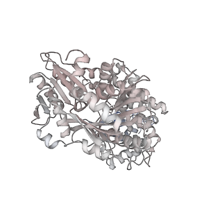 32319_7w5a_Y_v1-2
The cryo-EM structure of human pre-C*-II complex