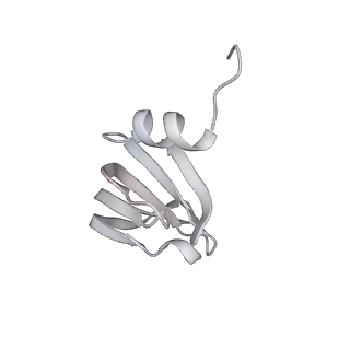 32319_7w5a_f_v1-2
The cryo-EM structure of human pre-C*-II complex