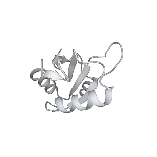 32319_7w5a_p_v1-2
The cryo-EM structure of human pre-C*-II complex