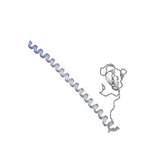 32319_7w5a_r_v1-2
The cryo-EM structure of human pre-C*-II complex
