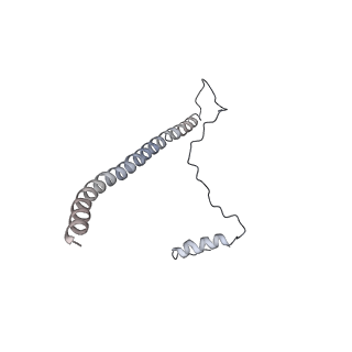 32321_7w5b_2_v1-2
The cryo-EM structure of human C* complex