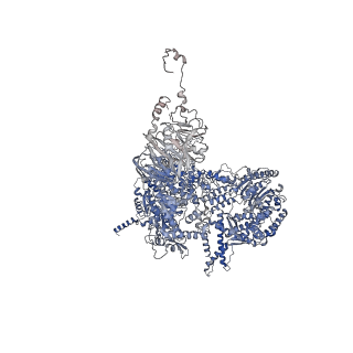 32321_7w5b_A_v1-2
The cryo-EM structure of human C* complex
