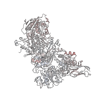 32321_7w5b_D_v1-2
The cryo-EM structure of human C* complex