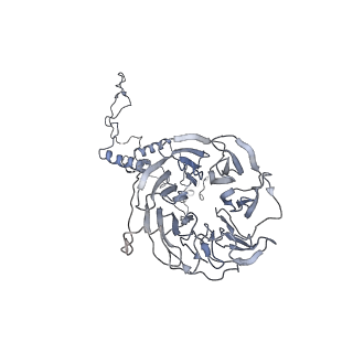 32321_7w5b_W_v1-2
The cryo-EM structure of human C* complex