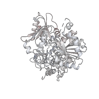 32321_7w5b_Y_v1-2
The cryo-EM structure of human C* complex