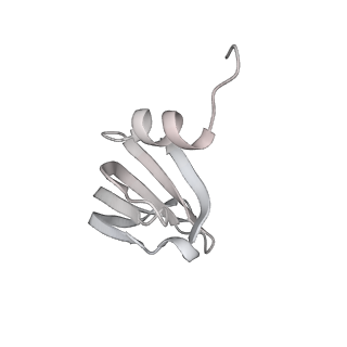 32321_7w5b_f_v1-2
The cryo-EM structure of human C* complex