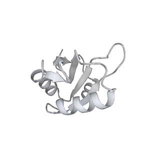 32321_7w5b_p_v1-2
The cryo-EM structure of human C* complex