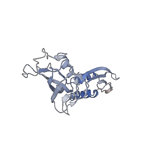 32322_7w5w_B_v1-1
Cryo-EM structure of SoxS-dependent transcription activation complex with micF promoter DNA