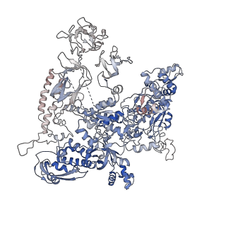 32322_7w5w_D_v1-1
Cryo-EM structure of SoxS-dependent transcription activation complex with micF promoter DNA