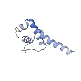 32322_7w5w_E_v1-1
Cryo-EM structure of SoxS-dependent transcription activation complex with micF promoter DNA