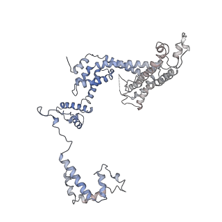 32322_7w5w_F_v1-1
Cryo-EM structure of SoxS-dependent transcription activation complex with micF promoter DNA