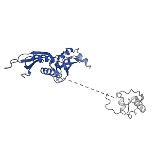 32323_7w5x_A_v1-1
Cryo-EM structure of SoxS-dependent transcription activation complex with zwf promoter DNA