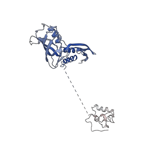 32323_7w5x_B_v1-1
Cryo-EM structure of SoxS-dependent transcription activation complex with zwf promoter DNA