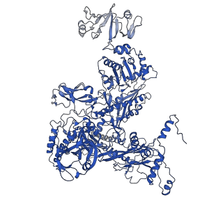 32323_7w5x_C_v1-1
Cryo-EM structure of SoxS-dependent transcription activation complex with zwf promoter DNA