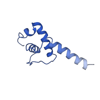 32323_7w5x_E_v1-1
Cryo-EM structure of SoxS-dependent transcription activation complex with zwf promoter DNA