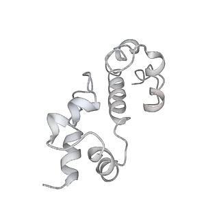 32323_7w5x_K_v1-1
Cryo-EM structure of SoxS-dependent transcription activation complex with zwf promoter DNA