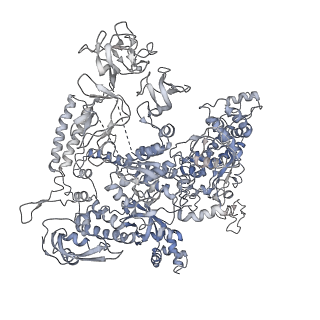 32324_7w5y_D_v1-1
Cryo-EM structure of SoxS-dependent transcription activation complex with fpr promoter DNA