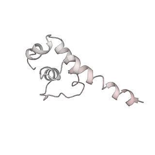 32324_7w5y_E_v1-1
Cryo-EM structure of SoxS-dependent transcription activation complex with fpr promoter DNA