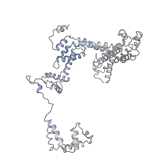 32324_7w5y_F_v1-1
Cryo-EM structure of SoxS-dependent transcription activation complex with fpr promoter DNA