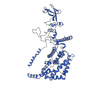 32325_7w5z_5B_v1-2
Cryo-EM structure of Tetrahymena thermophila mitochondrial complex IV, composite dimer model